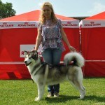 CACIB — Тернополь 2012 CACIB — Тернополь 2012
