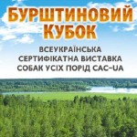 Янтарный кубок-2012