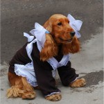 Выпускник