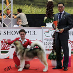Чемпионат Мира, Венгрия 2013!