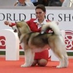 Чемпионат Мира, Венгрия 2013!