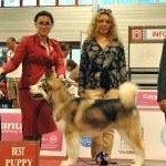 Чемпионат Мира, Венгрия 2013!