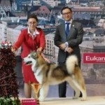 Чемпионат Мира, Венгрия 2013!