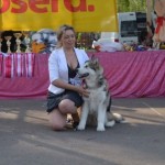 Хмельницкий. Всеукраинская выставка ранга CAC.  2013 г