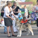 Хмельницкий. Всеукраинская выставка ранга CAC.  2013 г