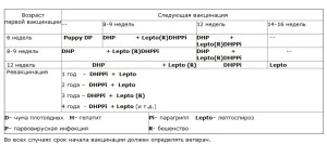 Схема прививок