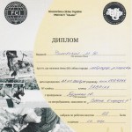 Диплом СГ-2 (Собака в городе) – 1 место, САСТ (кандидат в рабочие Чемпионы)