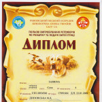 Диплом 1 степени (95 баллов)!