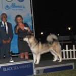 Black Sea Winner 2013