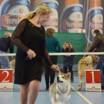 Mal Planet Golf GTI - BEST PUPPY