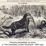 Рисунок ретривера на охоте