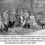 Kennel Club (England 's Kennel Club).