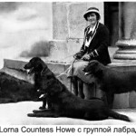 Lorna Katherine Curzon Howe с группой лабрадоров