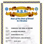 Лучший представитель породы Украины
