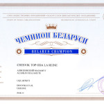 Аляскинский маламут Рейна (Chesvik-Top Oda La Reine) – Чемпион Белоруссии