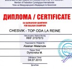 Аляскинский маламут Рейна (Chesvik-Top Oda La Reine) – Чемпион Балканских стран