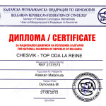 Аляскинский маламут Рейна (Chesvik-Top Oda La Reine) – Чемпион Болгарии
