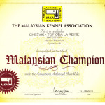Аляскинский маламут Рейна (Chesvik-Top Oda La Reine) – Чемпион Малайзии