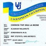 Аляскинский маламут Рейна (Chesvik-Top Oda La Reine) – Чемпион Украины 1