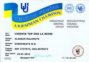 Аляскинский маламут Рейна (Chesvik-Top Oda La Reine) – Чемпион Украины 1