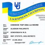 Аляскинский маламут Рейна (Chesvik-Top Oda La Reine) – Чемпион Украины 2