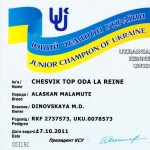 Аляскинский маламут Рейна (Chesvik-Top Oda La Reine) – Юный Чемпион Украины