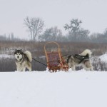 Снежные тренировки