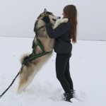 Снежные тренировки