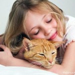 Лечение при помощи кошек