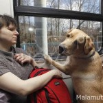 Сосед по поездуСосед по поезду