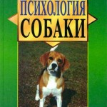 Психология собаки