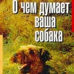 О чем думает Ваша собака