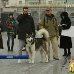 Красавец!