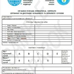 Образец сертификата на дисплазию