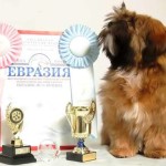Евразия-2014