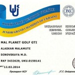 Гранд Чемпиона Украины