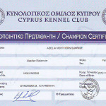 Сертификат Чемпиона Кипра
