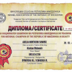 Диплом Чемпиона Македонии