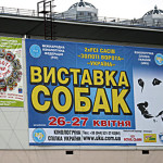 Выставка