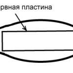 Нервная пластина
