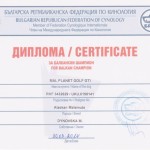 Чемпион Балканских стран