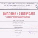 Чемпион Болгарии