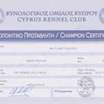 Чемпион Кипра