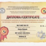 Чемпион Македонии