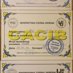САСІВ Украина