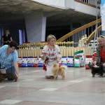 Pride Of Pom Colyn Triumphant