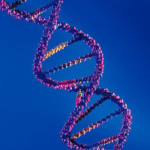 Генетика