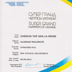 Сертификат Супер Гранд Чемпиона Украины