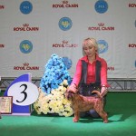 Победитель выставки "Хрустальный кубок" 3-е место