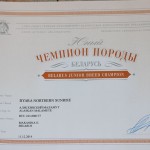 Сертификат Чемпиона Породы Беларуси Byara Northern Sunrise